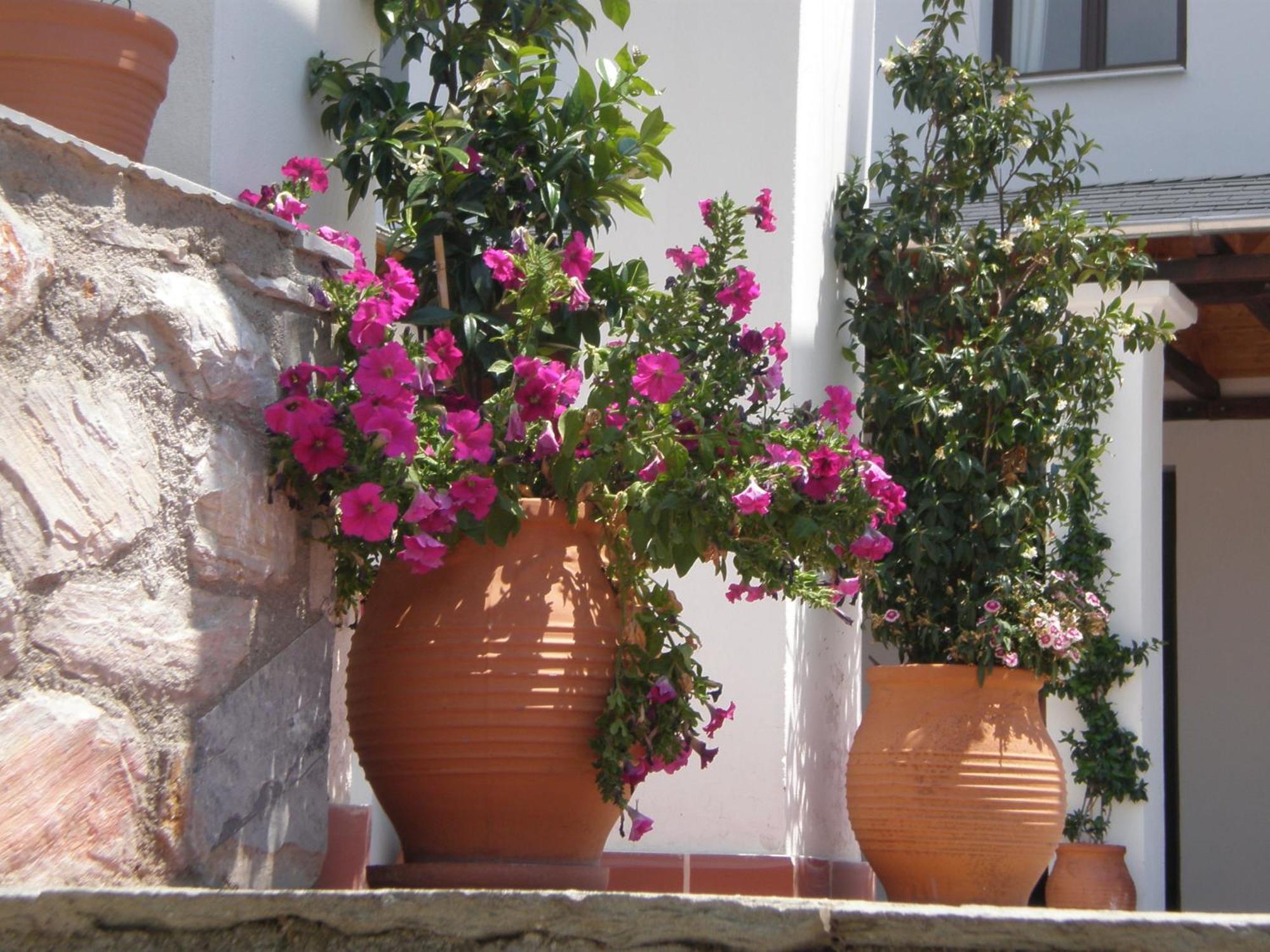 Hotel Pelion Resort Portaria  Luaran gambar